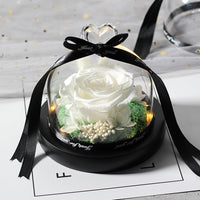 Enchanted LED Light Beauty Rose in a Glass with Black Base-Artificial flower-Golonzo