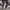 Free Running and Jogging Sports Shoes-Shoes-Golonzo