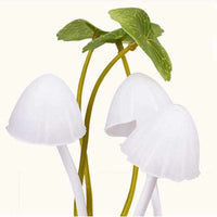 Novelty Lucky Mushroom Night Light-Night Lights & Ambient Lighting-Golonzo