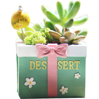 Oddish Planter Oddish Flower Succulent Succulent Flower Pot Plant-Flower Pots-Golonzo