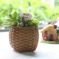 Oddish Planter Oddish Flower Succulent Succulent Flower Pot Plant-Flower Pots-Golonzo