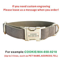 Personalized Customized Dog Collar Customized-Pet Collars & Harnesses-Golonzo