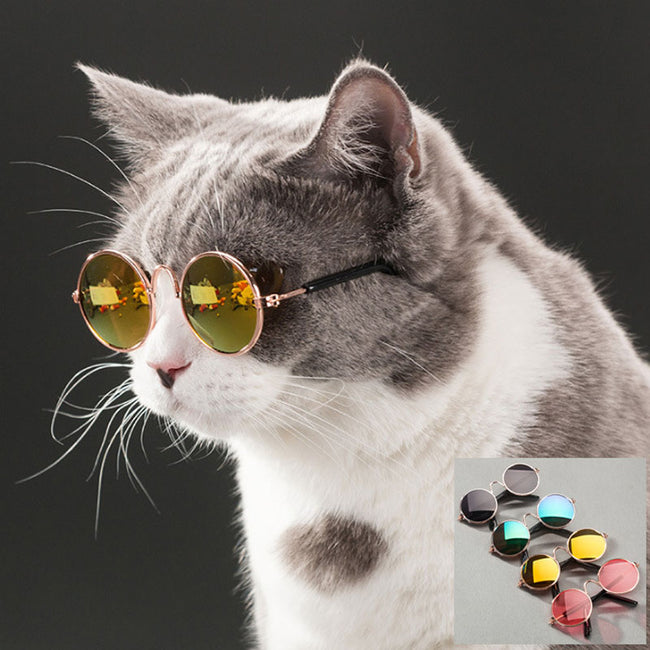 Pet Cat Glasses Pet Products for Little Cat Eye Wear Sunglasses Accessories-Cat Toys-Golonzo