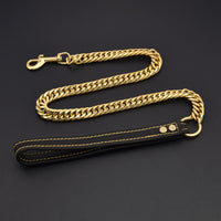 Gold Stainless Steel Pet Dog Chain Collar-Pet Collars & Harnesses-Golonzo