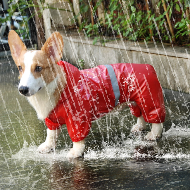 Small Do Raincoat-Dog Supplies-Golonzo