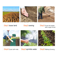 Plant Seeds Grass Seed Growth Mat for Home Garden-Plant & Herb Growing Kits-Golonzo