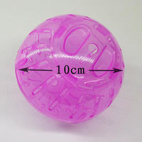 Hamster Jogging Ball - Gerbil Rat Exercise-Toys-Golonzo