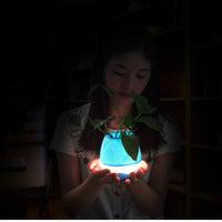 Wireless Portable Music Flower Pot-Portable Speakers-Golonzo