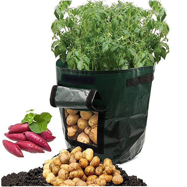 Potato Grow Bag-Pots & Planters-Golonzo