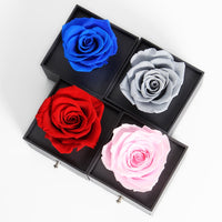 Preserved Rose Beauty and The Beast Eternal Flower Jewelry Box-Necklace-Golonzo