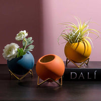 Flower Vases Ceramic With Gold Metal Holder For Table Decoration Vase Porcelain Plant Pot-vase-Golonzo