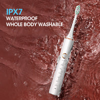 High Frequency Sonic Electric Cleaning Toothbrush-Toothbrushes-Golonzo