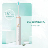 High Frequency Sonic Electric Cleaning Toothbrush-Toothbrushes-Golonzo