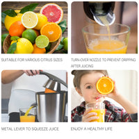 Stainless Steel Electric Juicers-Juicers-Golonzo