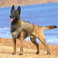 Tactical Dog Harness - Military Training Dog Vest-collar and harness-Golonzo
