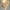 Vintage Skull Head Glass Pendant Lights-Lamps-Golonzo