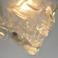 Vintage Skull Head Glass Pendant Lights-Lamps-Golonzo