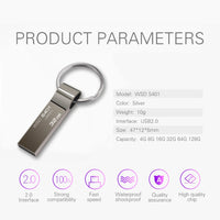 USB Flash Drive - Metal Pen Drive with Keychain-Home-Golonzo