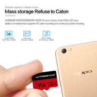 Mini Flash Memory Card for SmartPhone-Flash Memory Cards-Golonzo