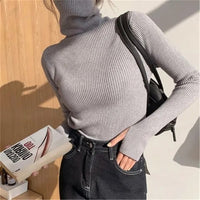Turtleneck Sweaters - Pullover Heaps Collar Knit Sweaters-Sweater-Golonzo