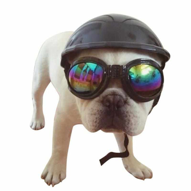 Doggie Helmets-Dog Apparel-Golonzo