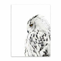 Nordic Owl Wall Art Canvas Painting-paint-Golonzo