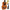 Ukulele Concert / Soprano / Tenor - Mini Hawaii Acoustic Guitar-Guitars-Golonzo