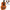 Ukulele Concert / Soprano / Tenor - Mini Hawaii Acoustic Guitar-Guitars-Golonzo