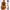 Ukulele Concert / Soprano / Tenor - Mini Hawaii Acoustic Guitar-Guitars-Golonzo