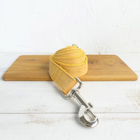 Personalized Customized Dog Collar Customized-Pet Collars & Harnesses-Golonzo