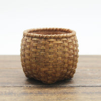 Oddish Planter Oddish Flower Succulent Succulent Flower Pot Plant-Flower Pots-Golonzo