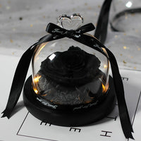 Enchanted LED Light Beauty Rose in a Glass with Black Base-Artificial flower-Golonzo