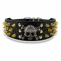 Gold Skull Spiked Dog Collars For Medium-Large Dog-collar and harness-Golonzo
