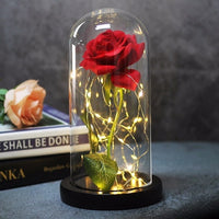 Immortal Rose Flower-Artificial flower-Golonzo