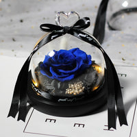 Enchanted LED Light Beauty Rose in a Glass with Black Base-Artificial flower-Golonzo
