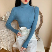 Turtleneck Sweaters - Pullover Heaps Collar Knit Sweaters-Sweater-Golonzo