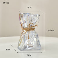 Glass Vase = Home Decoration l Dried Flower Vase-Decorative Jars-Golonzo