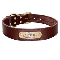 Personalized Pet Collar - Custom Leather Dog Collar Leash Set-Pet Collars & Harnesses-Golonzo