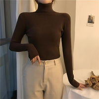 Turtleneck Sweaters - Pullover Heaps Collar Knit Sweaters-Sweater-Golonzo