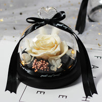Enchanted LED Light Beauty Rose in a Glass with Black Base-Artificial flower-Golonzo