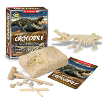 Dinosaur Fossil Digging Kit-Golonzo