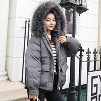 Full Slim Hair Cotton-padded Women Winter Jacket-Coats and Jackets-Golonzo