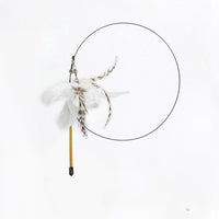 Simulation Bird Interactive Cat Toy Stick-Cat Toys-Golonzo