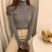 Turtleneck Sweaters - Pullover Heaps Collar Knit Sweaters-Sweater-Golonzo