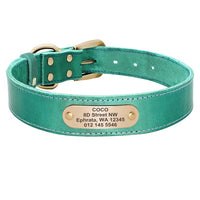 Personalized Pet Collar - Custom Leather Dog Collar Leash Set-Pet Collars & Harnesses-Golonzo