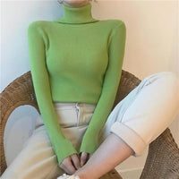 Turtleneck Sweaters - Pullover Heaps Collar Knit Sweaters-Sweater-Golonzo