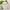 Cute Stuffed Boba Tea Plushies Pillow-Pillows-Golonzo