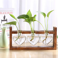 Glass and Wood Vase Planter Terrarium Table Desktop Hydroponics Plant Bonsai Flower Pot Hanging Pots-Flower Pots-Golonzo