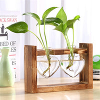 Glass and Wood Vase Planter Terrarium Table Desktop Hydroponics Plant Bonsai Flower Pot Hanging Pots-Flower Pots-Golonzo