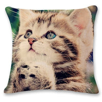 Cat Pattern Cotton Linen Throw Pillow Cushion Cover Seat-Pillow Case and Shams-Golonzo
